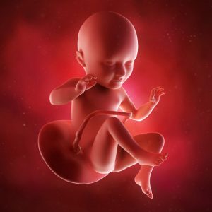 Kako izgleda beba u 32. nedelji trudnoće