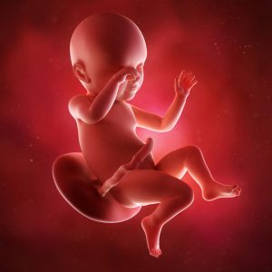 Kako izglda beba u 39. nedelji trudnoće